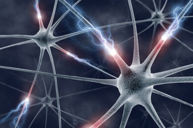 Belohnung und Abneigung liegen im Gehirn dicht beieinander