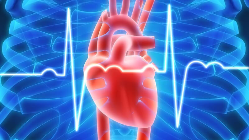 Grafik Herz in blauem Brustkorb, EKG Herzschlag