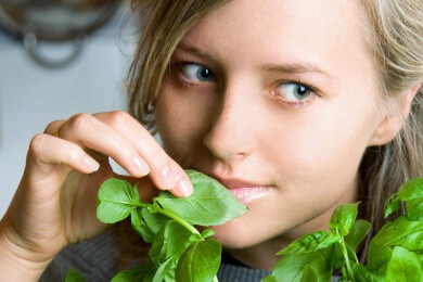 Basilikum für die Schönheit statt für den Kochtopf
