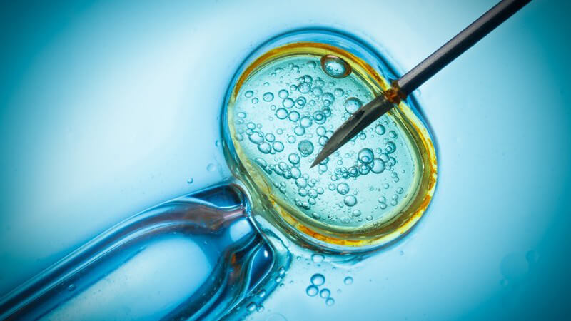 Nahaufnahme einer In-vitro-Fertilisation (künstliche Befruchtung) vor blauem Hintergrund