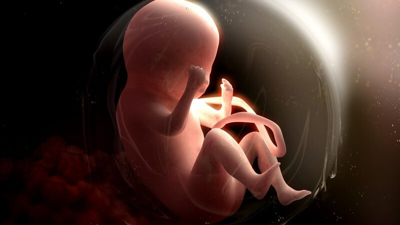 Grafik eines Fötus im Mutterleib mit Lichteinfall von oben