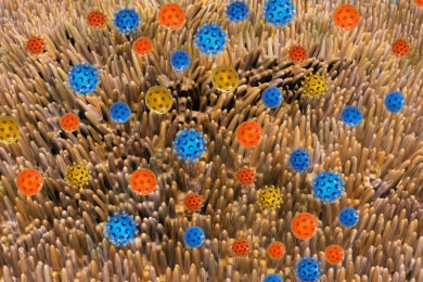 Hat der Mensch mehr Bakterien als Zellen im Körper?