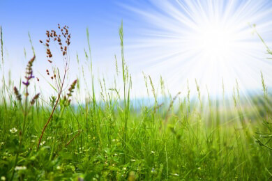 Mangel an Vitamin D und Diabetes Typ 1: Studie sieht einen Zusammenhang