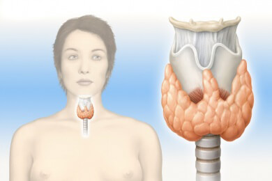 Wenig Schilddrüsenhormone während der Schwangerschaft erhöht Schizophrenie-Gefahr für das Kind
