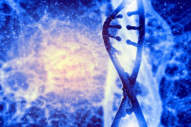 Riss der Hauptschlagader in jungen Jahren: Forscher finden genetischen Auslöser der Aortendissektion