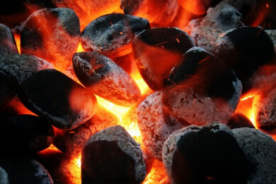 Grillkohle mit Tropenholz? Forscher weisen mit neuem Verfahren die traurige Wahrheit nach