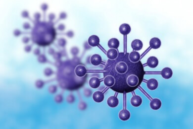 Worst-case-Szenario: 93 Millionen Zika-Infektionen und zehntausende Missbildungen befürchtet