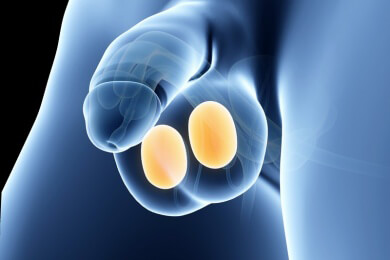 Biologe: "Dicker Hoden wichtiger als Penislänge"