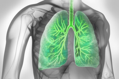 Unsere Bronchien können riechen: Was das für Asthma und COPD bedeuten könnte