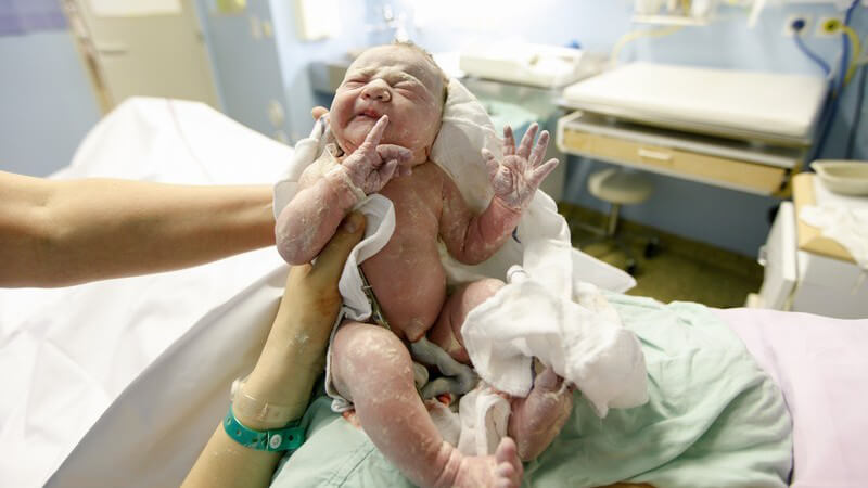 Arme halten ein Neugeborenes voller Käseschmiere kurz nach der Geburt im Kreißsaal