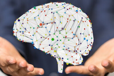 Der weibliche Zyklus und das Gedächtnis: Östrogen beeinflusst offenbar den Hippocampus