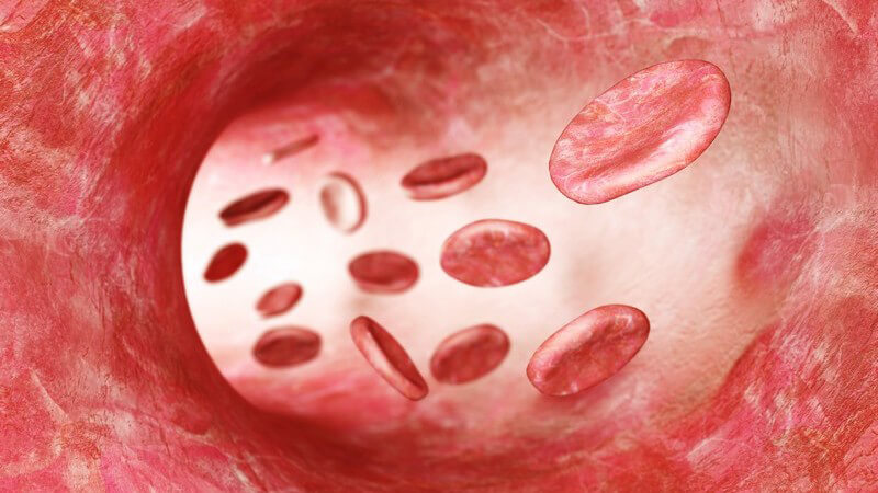 Grafik von roten Blutkörperchen, die durch die Blutbahn schweben