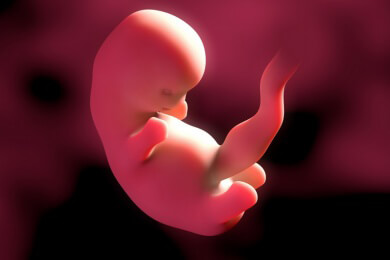 Hormonbehandlung in der Schwangerschaft: Werden mehr Kinder bi- und homosexuell?