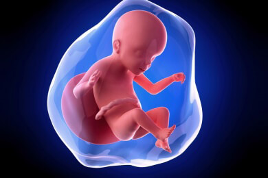 Baby aus dem Beutel? Biobag soll für extreme Frühchen die Gebärmutter ersetzen