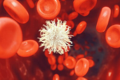 Vitamin C könnte laut Mausversuch vorbeugend gegen Leukämie genommen werden