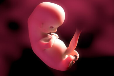 Hungersnöte bei Schwangeren führen vermehrt zu Schizophrenie beim Kind