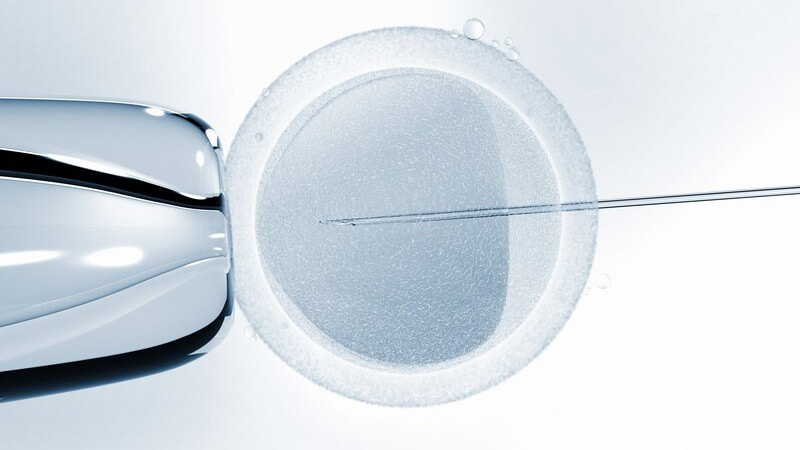 Pipette in Eizelle, künstliche Befruchtung durch eine In-vitro-Fertilisation