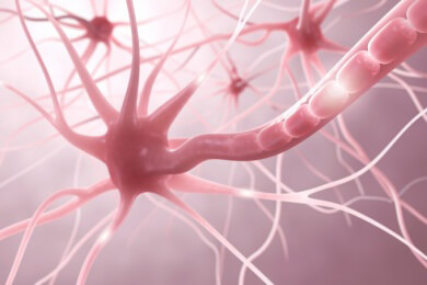 Testosteron schützt: Studie klärt, warum Frauen viel häufiger als Männer MS haben