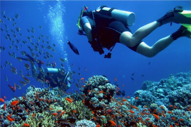 Korallenbleiche in Australien: Klimawandel beschädigt das Great Barrier Reef