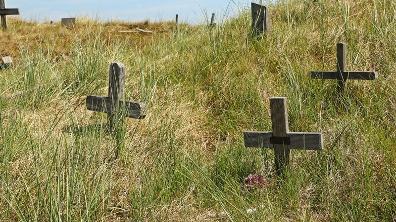 Kleine Kreuze auf einem Tierfriedhof zwischen hochgewachsenem Gras