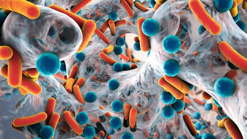 Grafik eines Biofilms mit antibiotikaresistenten Bakterien in orange und blau