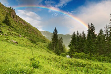Gewitter-Asthma: Warum Asthmatiker mit Pollenallergie kurz nach einem Gewitter besonders leiden