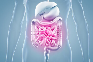 Kohl und Brokkoli bieten laut Tierstudie einen Schutz vor Darmkrebs