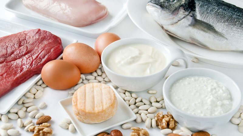 Eiweißhaltige Nahrungsmittel wie Käse, Eier, Milchprodukte, Fleisch, Fisch, Nüsse und Bohnen
