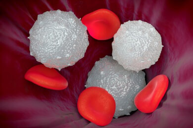 Thrombozyten sind an der Entstehung von Entzündungen beteiligt