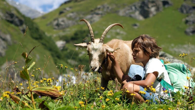 Kleines Mädchen hockt neben Ziegenbock auf Wiese in den Bergen