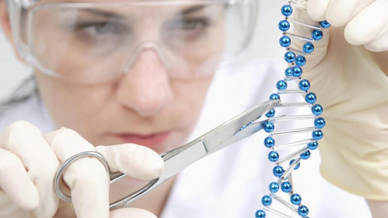 Forscherin schnibbelt mit einer Schere an einem blauen DNA-Modell
