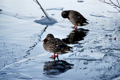 Vorsicht beim Betreten von zugefrorenen Seen