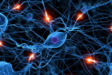 Neuronenfeuer für das Kurzzeitgedächtnis