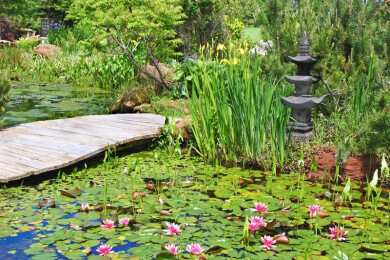 Gartengestaltung mit Licht und Wasserspielen