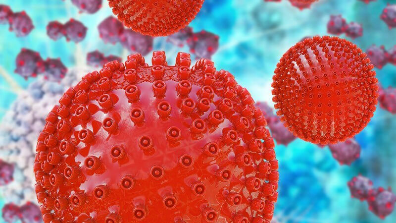 3-D-Grafik eines roten Herpes Virus vor hellblauem Hintergrund