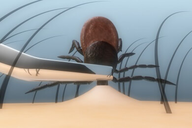 Hilfe bei Zeckenbiss durch Enzyme