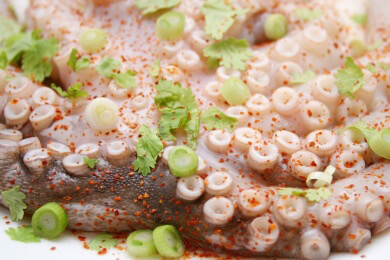 Überfischung führt möglicherweise zu Quallen und Algen als Fischersatz