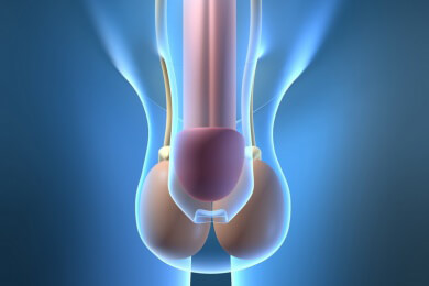 Studie zeigt: Extender lässt den Penis größer werden