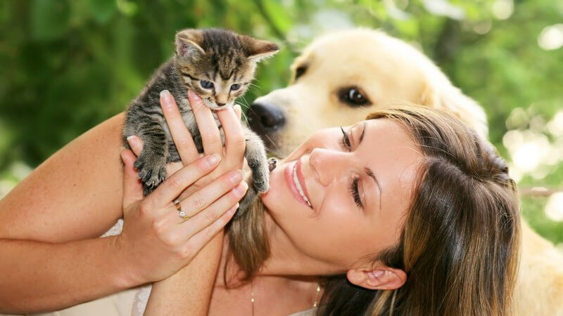 Junge Frau hält Katzenbaby in den Händen, hinter ihr Labradorwelpe