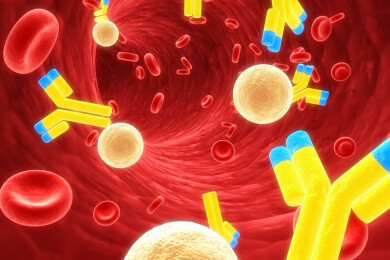 Das Immunsystem als Abwehrwaffe