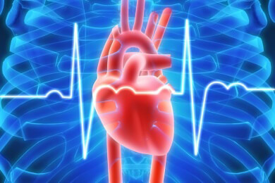 Gesunde Ernährung senkt Schlaganfallrisiko um 50 Prozent