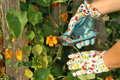 Impfschutz gegen Tetanus mit Beginn der Gartensaison überprüfen