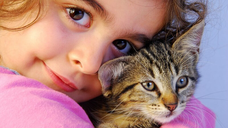Kleines Mädchen hat kleine Katze im Arm und schaut in Kamera