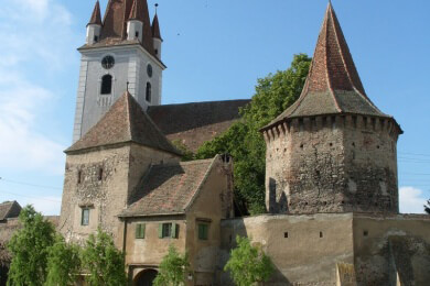 ᐅ Ritterburg im eigenen Garten Rentner erfüllt sich Kindheitstraum