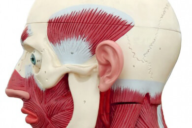 Goethe und die Medizin - eine Ausstellung in Düsseldorf