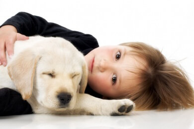 Ein paar Tipps für Familien mit Hund, die ein Baby bekommen