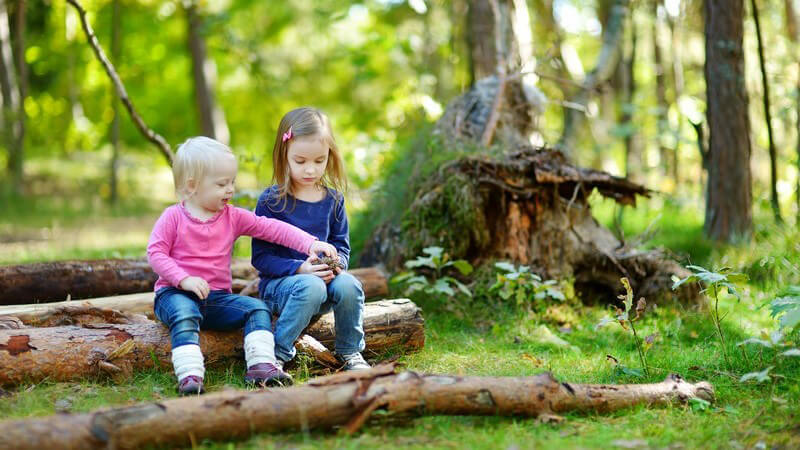 Zwei kleine Mädchen, Schwestern, sitzen im Wald auf einem Baumstamm