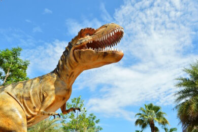 Dinosaurier lebten auch in Australien