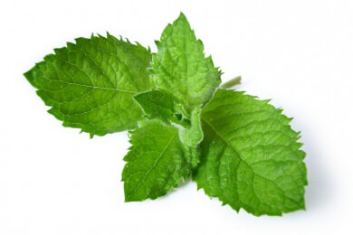 Kühlendes Gesichtswasser mit Pfefferminz gegen Hitzeattacken im Sommer