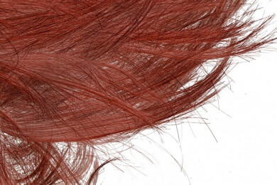 Warum haben manche Menschen rote Haare?